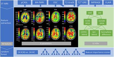 Hemodynamic MRI parameters to predict asymptomatic unilateral carotid artery stenosis with random forest machine learning